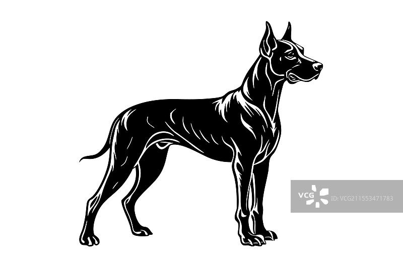 大丹犬剪影艺术图片素材