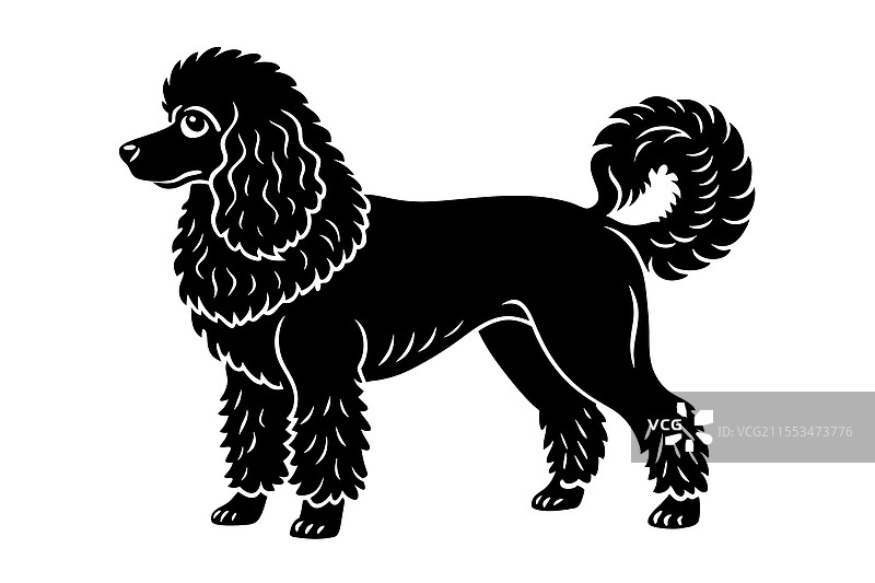 贵宾犬剪影艺术图片素材