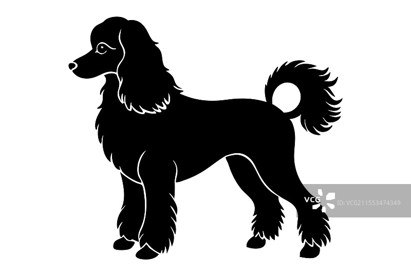 贵宾犬剪影艺术图片素材