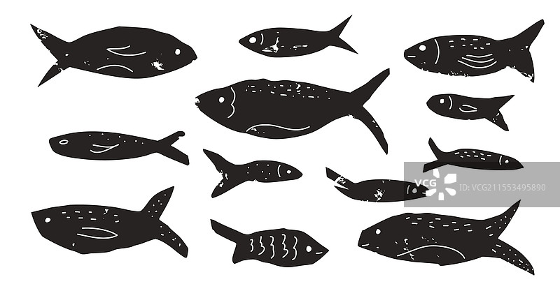 鱼类系列：沙丁鱼、鱼群、收藏、鲑鱼图片素材