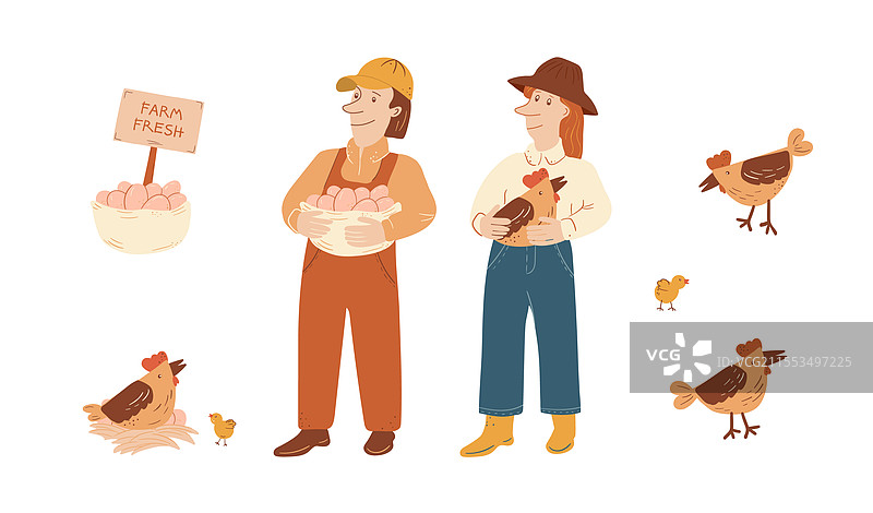 农场新鲜有机鸡蛋的收集图片素材