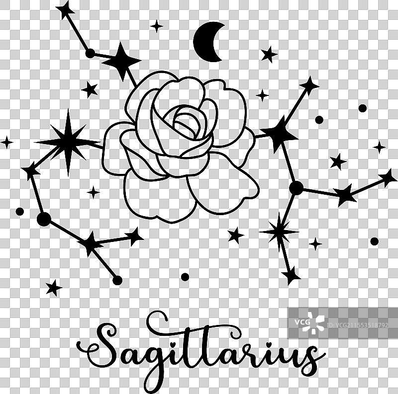 射手座星座与月光花图片素材