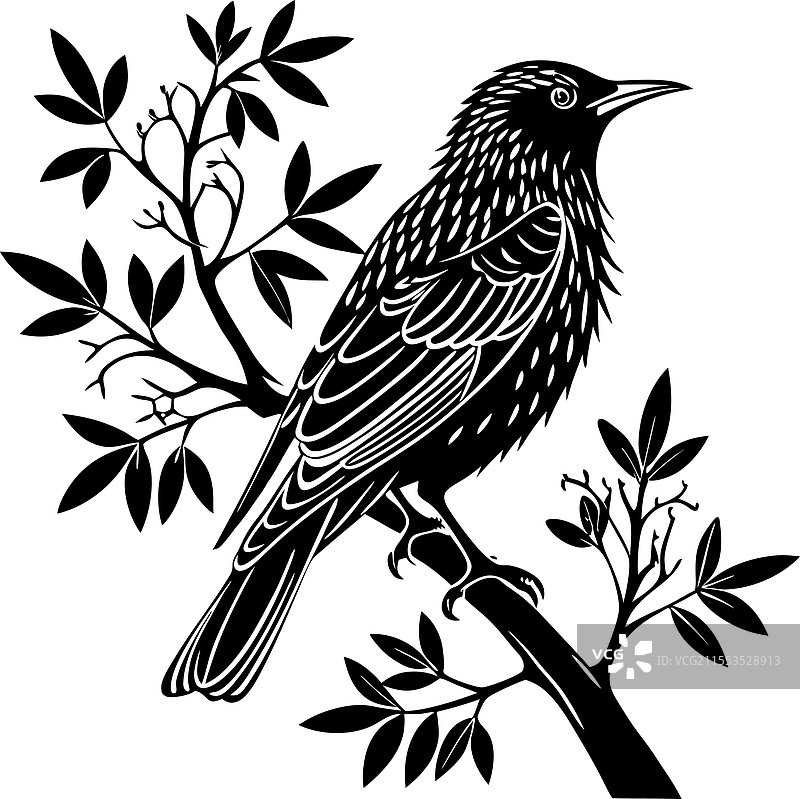 在树叶繁茂的枝条上，风格化的椋鸟图片素材