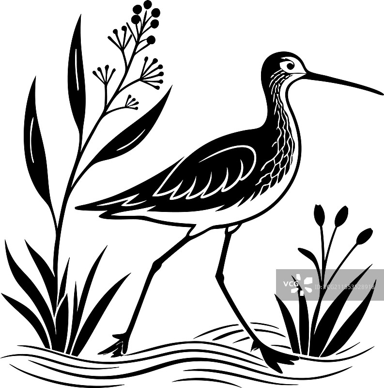 风格化的涉禽图片素材