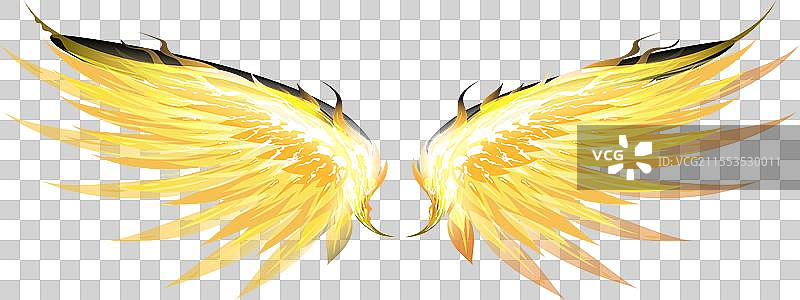 火焰光翼图片素材