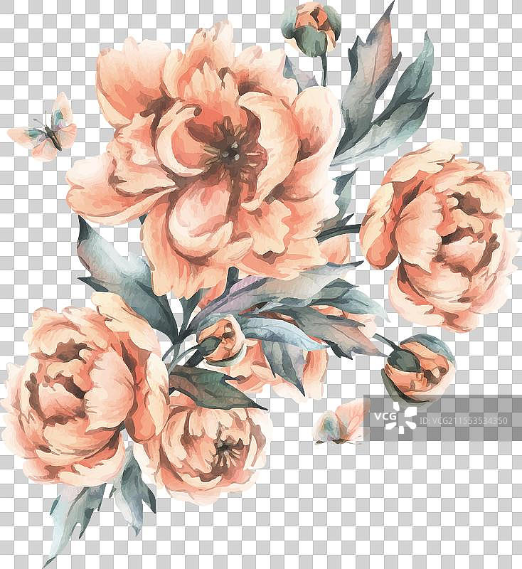 桃树的精致花蕾和叶子图片素材