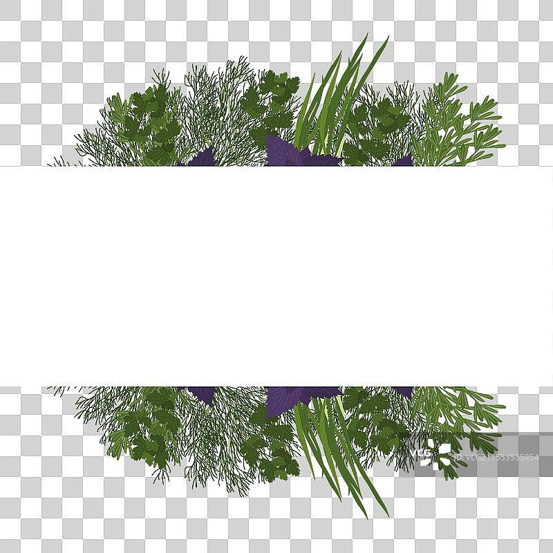 新鲜绿叶框架概念，体现健康饮食图片素材