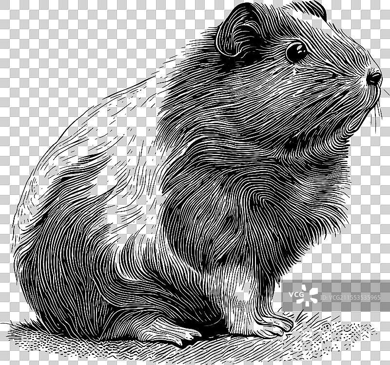 古老的几内亚雕刻图案图片素材