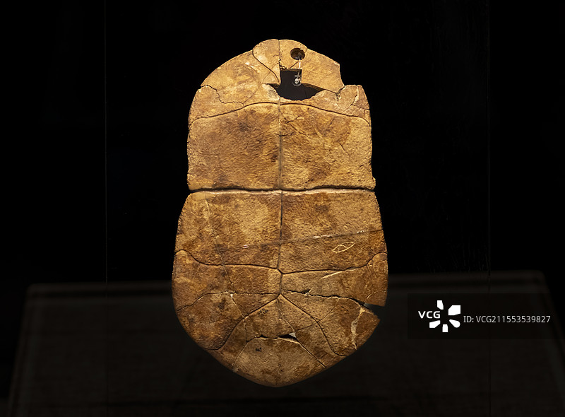 刻符龟甲 新石器时代裴李岗文化 距今9000-7000年 舞阳县贾湖出土 河南博物院图片素材