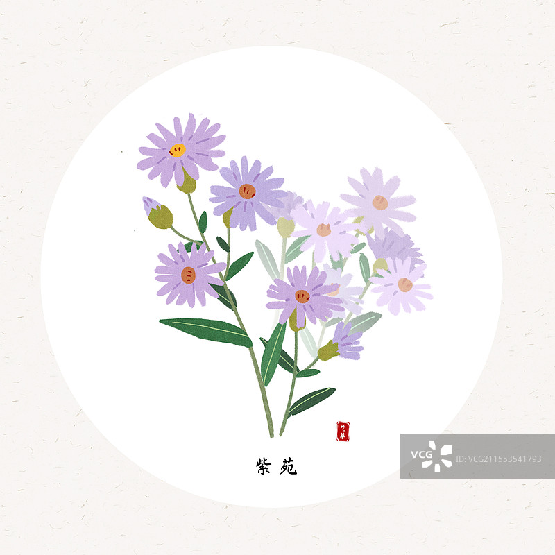 草本紫苑花国风插画圆形海报设计模板图片素材