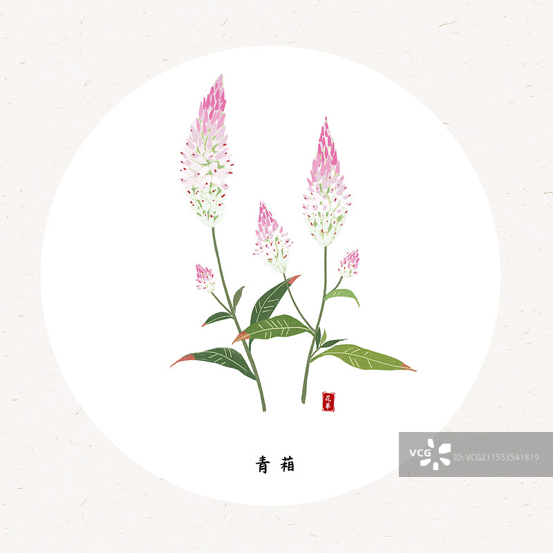 草本青葙国风插画圆形海报设计模板图片素材
