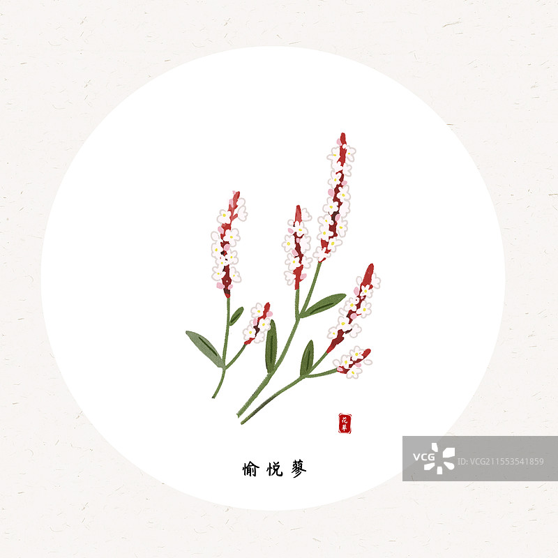 草本愉悦蓼国风插画圆形海报设计模板图片素材