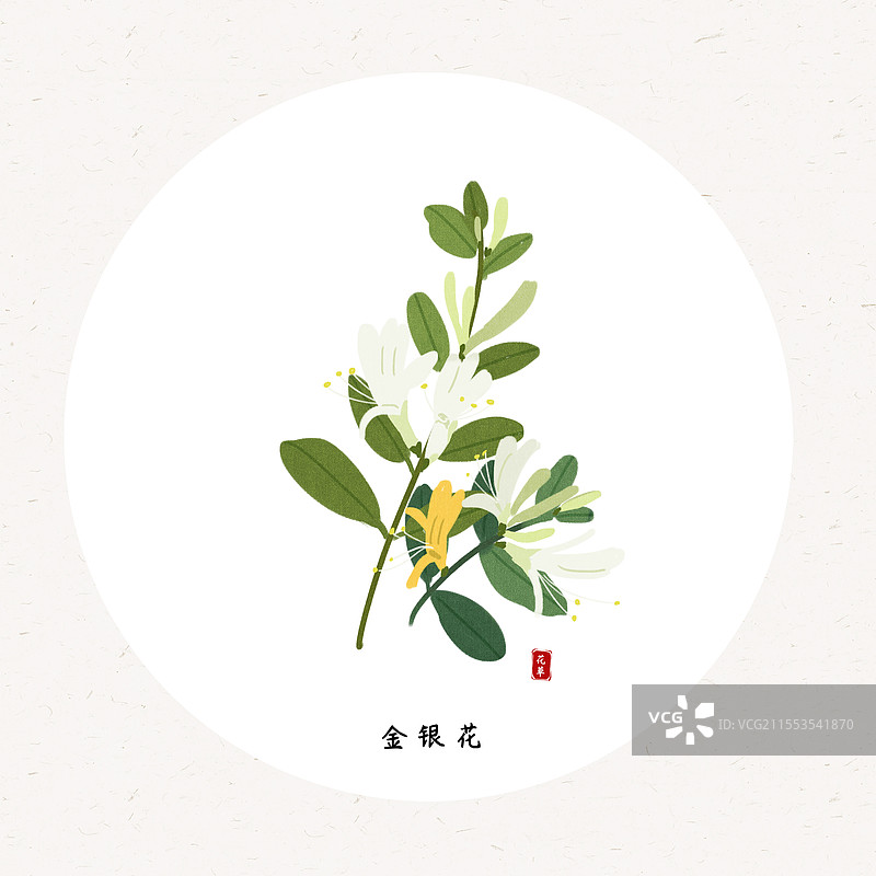 一丛金银花插画圆形海报设计模板图片素材