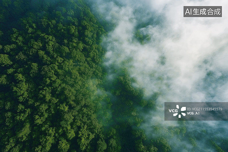 【AI数字艺术】航拍森林图片素材