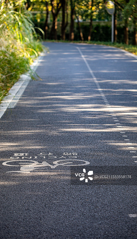 汽车广告背景图-城市道路.上海浦东后滩公园骑行步道秋色景观图片素材