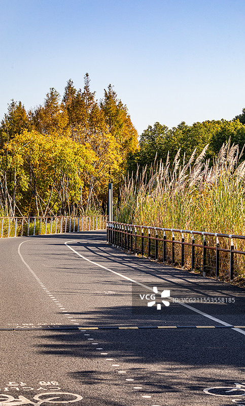 汽车广告背景图-城市道路.上海浦东后滩公园骑行步道秋色景观图片素材