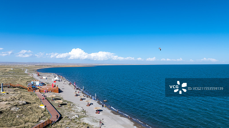 海鸥从青海湖上空飞过高原圣湖蓝天白云深蓝色湖水图片素材