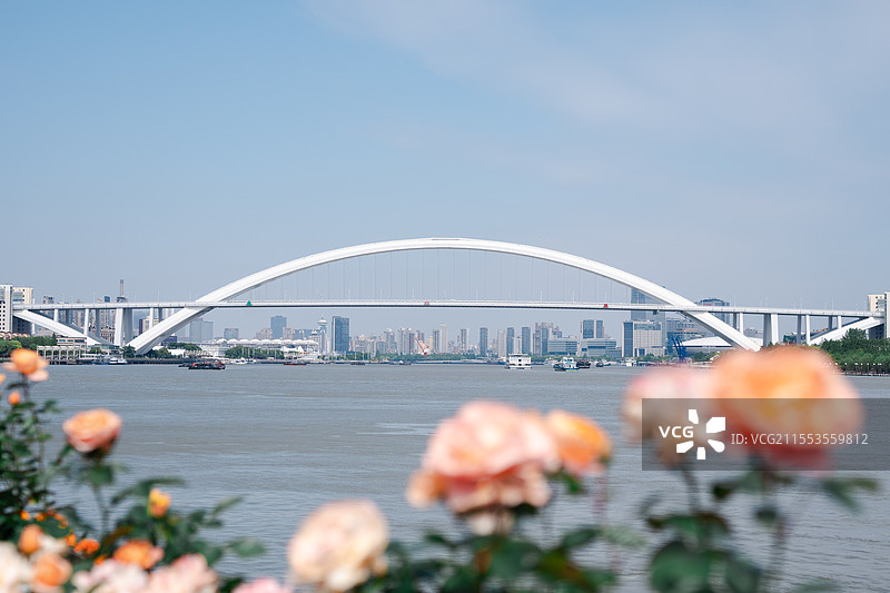 上海卢浦大桥，黄浦江边的繁花似锦图片素材