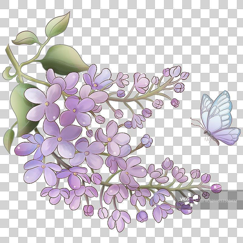 紫丁香开心底的柔情与浪漫图片素材