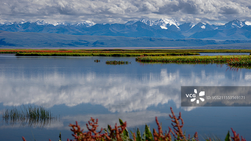 巴音布鲁克天鹅湖图片素材