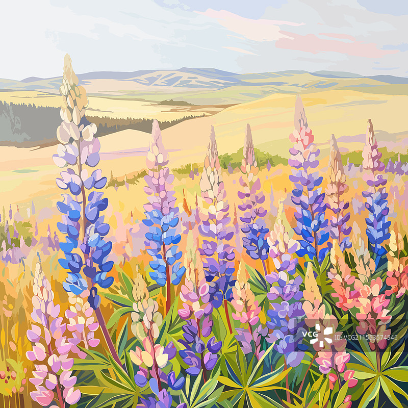 五彩缤纷的紫花苜蓿花田艺术图片素材