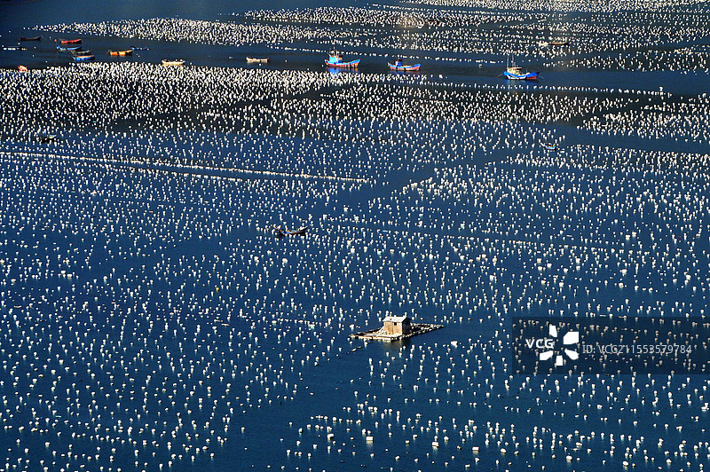 福州连江的海上牧场特写图片素材
