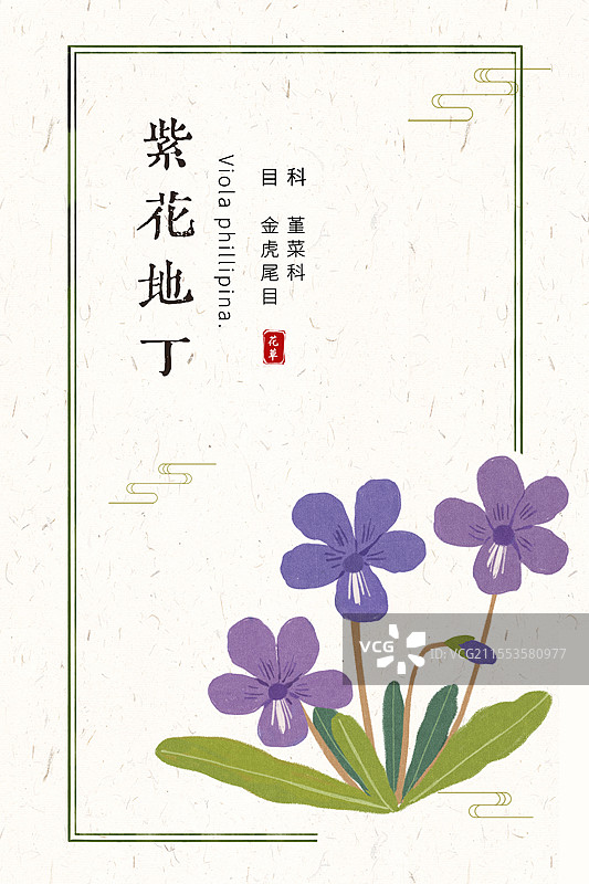 草本紫花地丁插画国风海报设计模板图片素材
