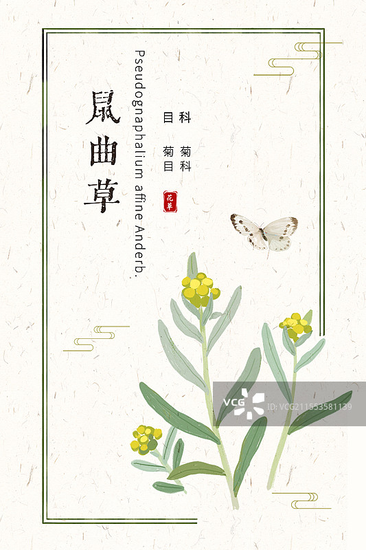 鼠曲草清明菜野菜插画国风海报设计模板图片素材