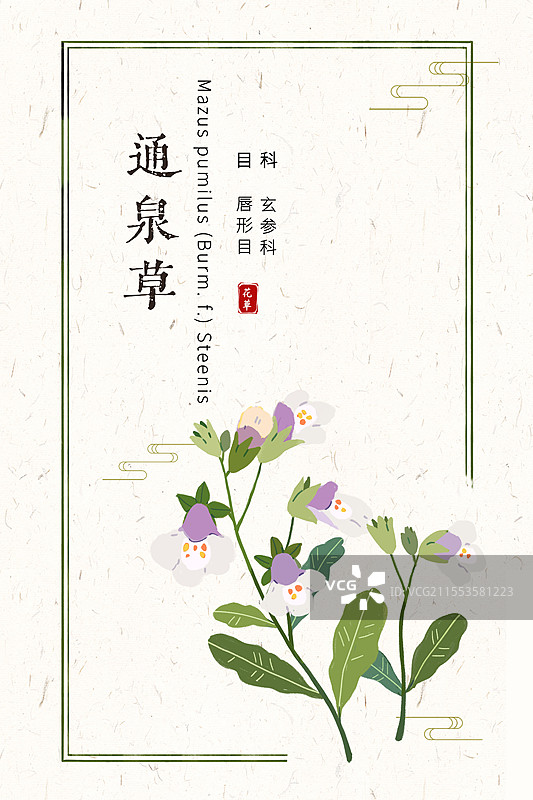 草本通泉草插画国风海报设计模板图片素材