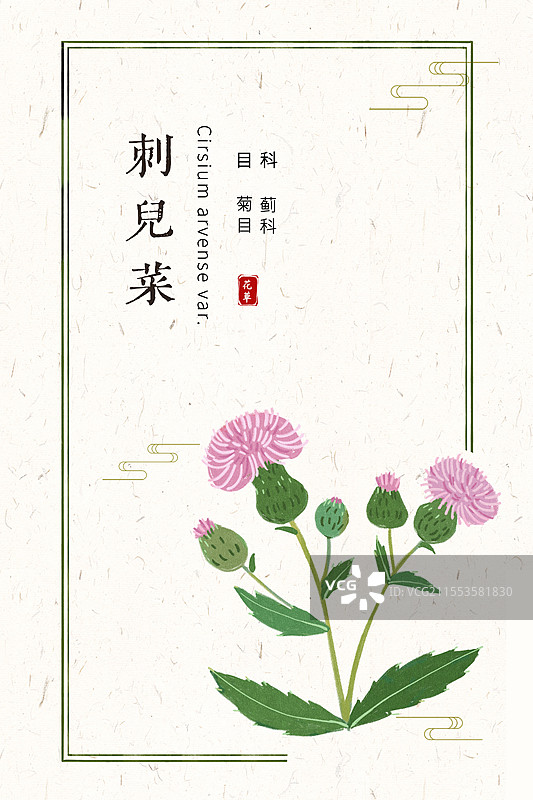 草本刺儿菜插画国风海报设计模板图片素材