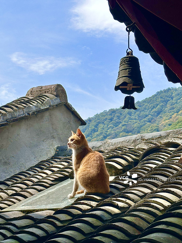 寺庙的猫屋檐下的铃铛图片素材