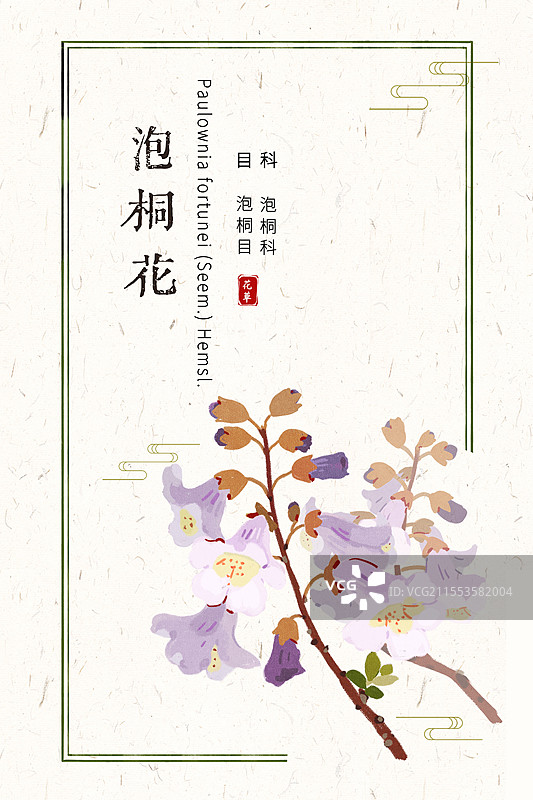 泡桐树泡桐花插画国风花卉海报设计模板图片素材