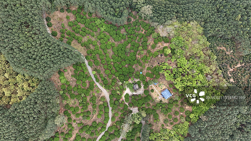 山间小路航拍图片素材