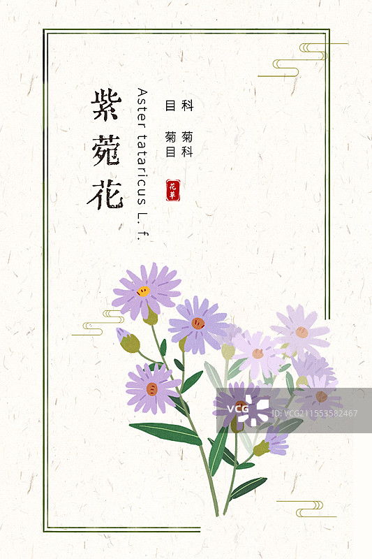 草本紫苑花国风插画海报设计模板图片素材