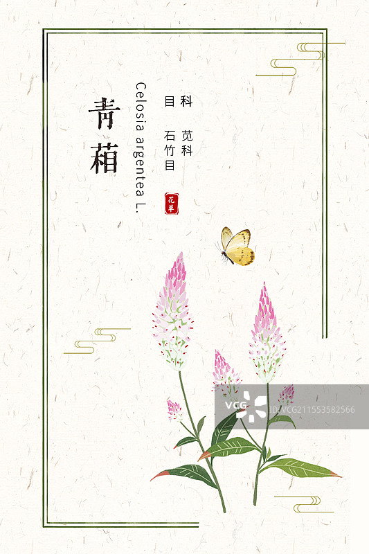 草本青葙国风花卉插画海报设计模板图片素材