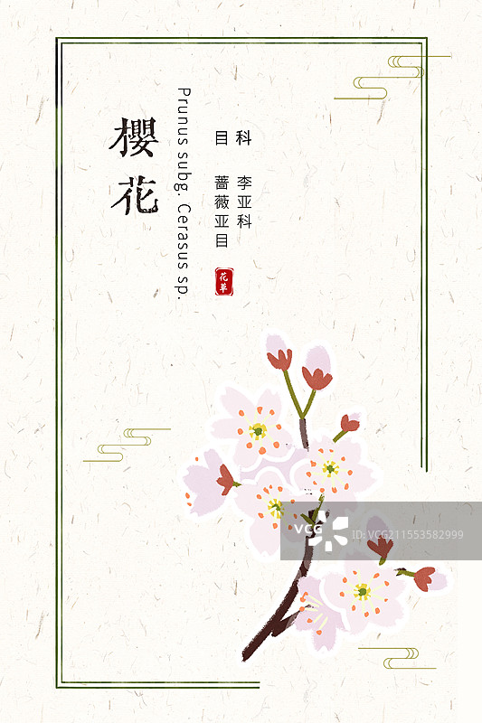 樱花插画国风花卉海报设计模板图片素材