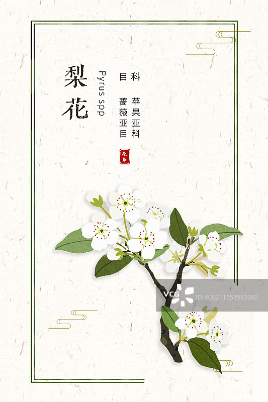 梨花插画国风花卉海报设计模板图片素材