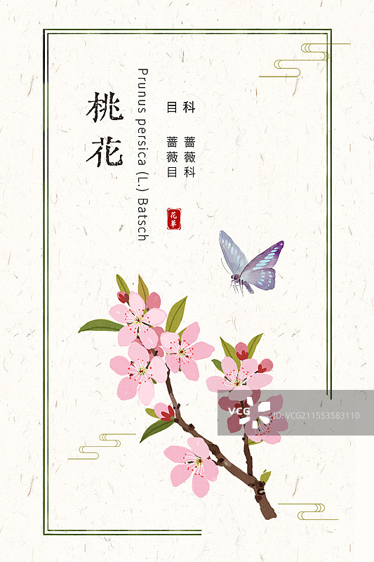 春天桃花插画国风花卉海报设计模板图片素材