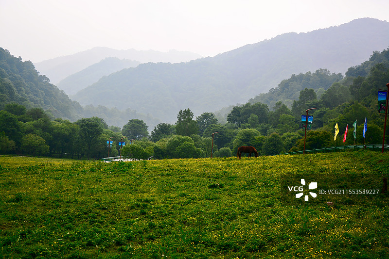 宝鸡大水川高山牧场图片素材