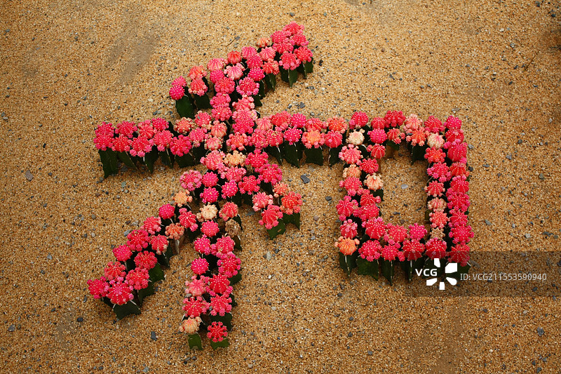 植物盆栽组合字和图片素材