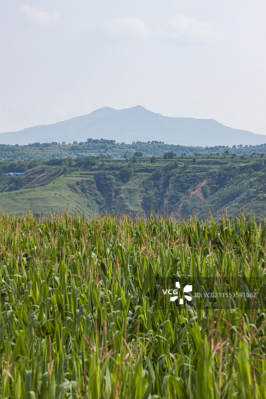 陕西咸阳永寿县风光图片素材