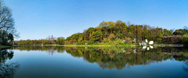 杭州 西湖山水 乌龟潭 三台云水 西湖 春天 初春 春景 倒影 春林 杭州西湖 西湖风光 西湖风景图片素材