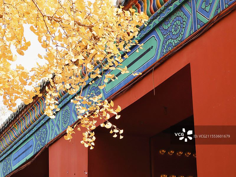 北京地坛公园图片素材