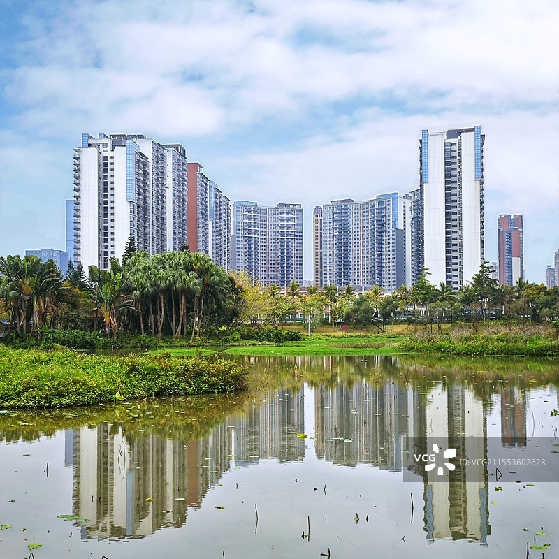 高楼映碧水 静谧似画卷湛江城市风光一影图片素材