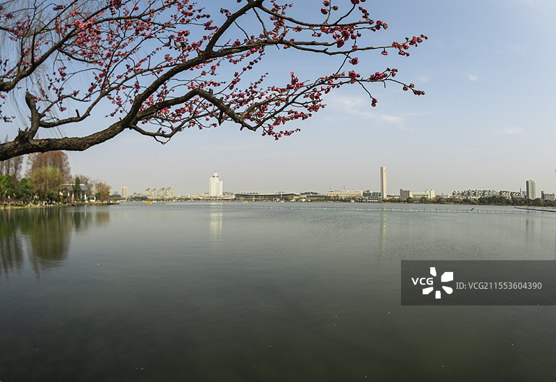 玄武湖公园—水上赏梅，别有天地（江苏南京）图片素材