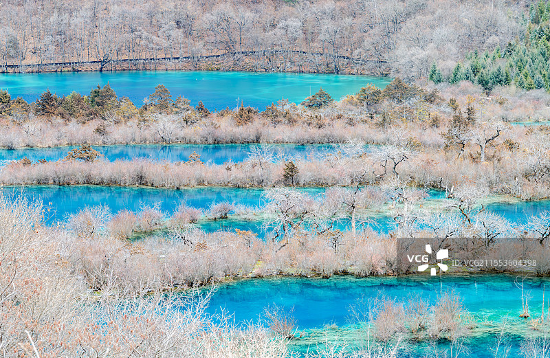 九寨沟树正群海图片素材