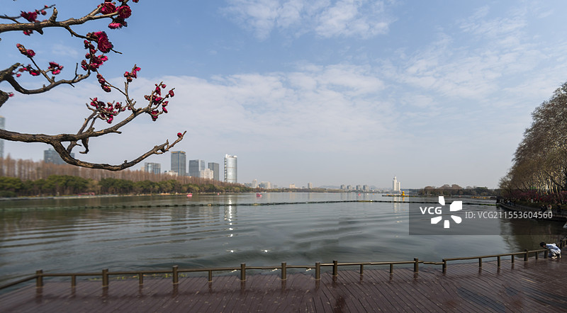 玄武湖公园—水上赏梅，别有天地（江苏南京）图片素材