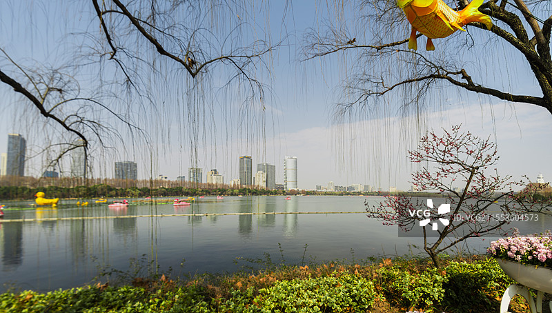玄武湖公园—水上赏梅，别有天地（江苏南京）图片素材