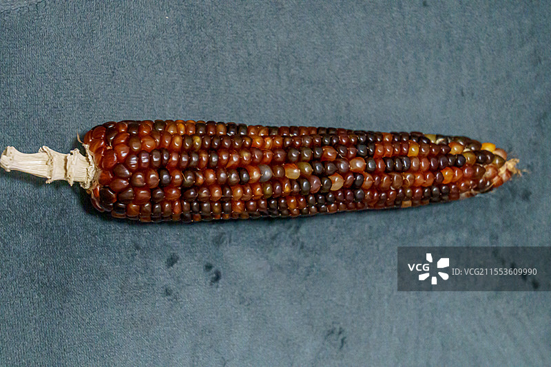 文玩玉米彩色多彩手把件小玉米迷你玉米图片素材