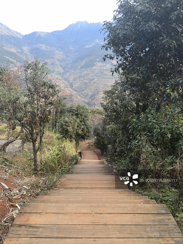 攀枝花市米易县傈僳梯田栈道图片素材